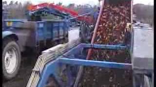 Carrot harvest - sharelifting - ASA-LIFT TRS