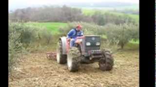 ΚΑΛΛΙΕΡΓΗΤΗΣ ΣΕ ΕΛΙΕΣ - OLIVE - NEW HOLLAND 82-86