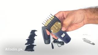 Dingling Rf 697 Professional Trimmer