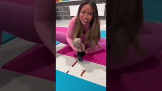 awww.. anak anjingnya menang bnyk #shorts #memes #asupanmeme #shortvideo #shortvideo