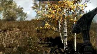 The Elder Scrolls 5: Skyrim "Смертоносный крик"