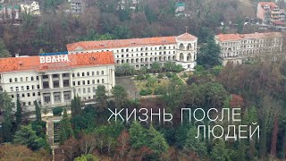 Хоста, Сочи, жизнь после людей. Заброшки страшные.