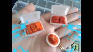 Đất sét nhật - Polymer/air dry clay