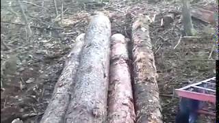 Заготовка леса в одиночку №6 Трелёвка без трактора