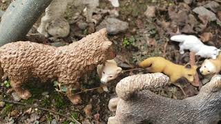 Cousins Lost in the Wild(EP1)Toy Wolf/Fox 5k subscriber series