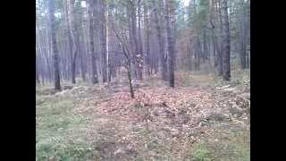 ТПК Смерч - Дуэли - Kotasik - 2 раунд - GreenBess