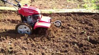 HONDA FF500 - Motozappa controrotante - Prova in campo