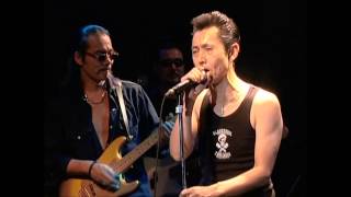COOLS LIVE  T BIRD CRUISIN'
