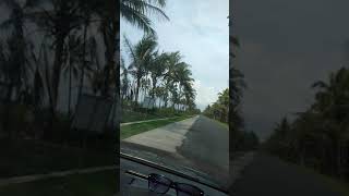 jalan jalan pakai mobil Suzuki Forsa thn 88  di Pangandaran