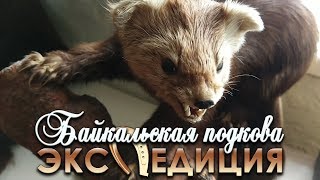 Чита - Усть-Баргузин - Давша. По Байкалу. Часть 1