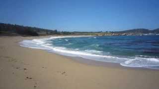 Point Lobos Monastery beach
