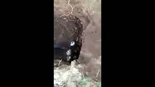 Snake in qabar (grave) - must watch