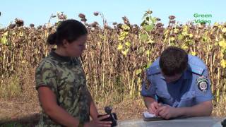 Green Video News 30.08.11. Егеря, милиция, кабан, а браконьер уполз!