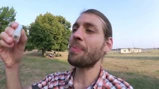 ICH ESSE EINE GRILLE! | I EAT A CRICKET! [Untertitel][learn German online][deutsch lernen kostenlos]