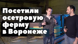 Посетили осетровую ферму в Воронеже. Как всё устроено и на сколько это прибыльное дело.