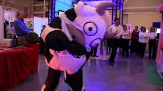 vaquita bailando gangnam style