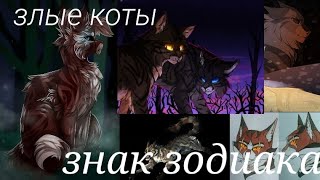 Гороскоп злых котов воителей