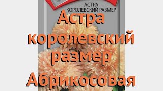 Астра королевский Абрикосовая (abrikosovaya) ? обзор: как сажать, семена астры Абрикосовая