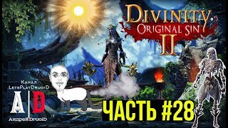Divinity: Original Sin 2 прохождение ❤ ДИВИНИТИ 2 ❤#28 Тролль Грог заказал убить Тролля Марг.Смысл?