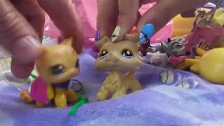 LPS: Встречка в Днепре