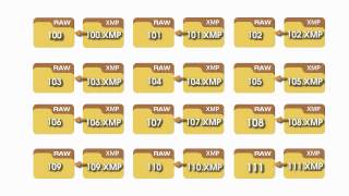 How to import XMP Edits into Bridge