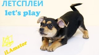 ЛЕТСПЛЕЙ Let's play Что это? Объяснение в картинках