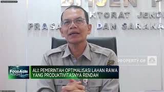 Kejar Produksi Beras, Kementan Optimasi Lahan Rawa & Pompanisasi Lahan Kering