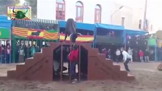 TEULADA(A)Ganadería.La.Paloma.TAUROEMISION TOROSENDIRECTO.FestejosPopularesTaurinos´18