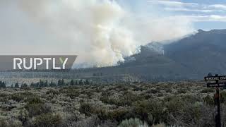 USA: Evacuations ordered after wildfire spreads in California Alpine County