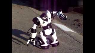 Программируемый робот Robosapien на пульте ДУ.