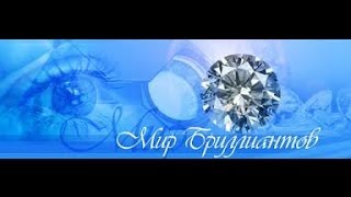 Лучший Отзыв о Macros Capital, 240% в год! Высокодоходные инвестиции в своё будущее, Макрос капитал