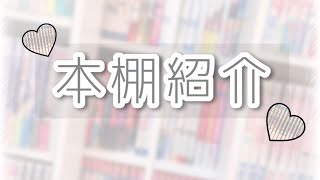 本棚紹介 ୨୧