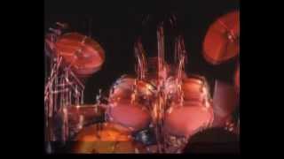 Pink Floyd Animals 1977 - Zurigo, Hallenstadium- con foto inedite - PRIMA VISIONE MONDIALE!!