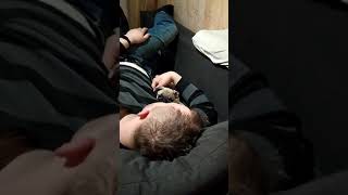 Mops, kłótnia z mopsem ???