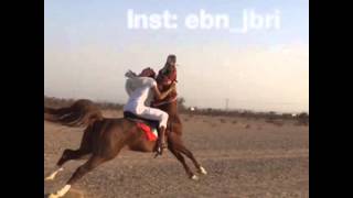 ابن جبري الشدادي تحدي الفرسان شيلة خطر خطر