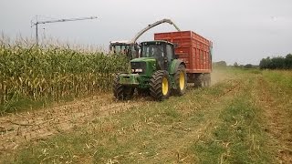 Insilato di Mais 2016 - Lav. Agr. Bragato Vittorio + Adami G. - Claas Jaguar 870