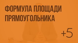 Формула площади прямоугольника (Слупко М.В.). Видеоурок по математике 5 класс