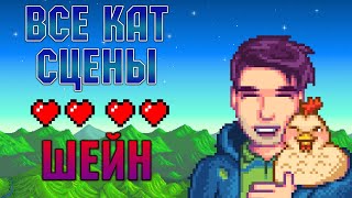 STARDEW VALLEY - ВСЕ КАТ СЦЕНЫ C ШЕЙНОМ! СЕРДЕЧНЫЕ СОБЫТИЯ SHANE