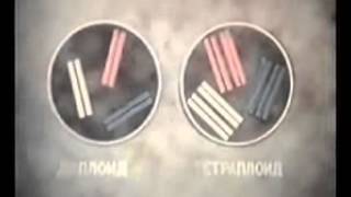 Генетика и селекция: Мутагенез