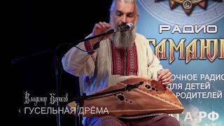 Гусельная дрёма. Играет Сказочный Боян (Владимир Борисов)