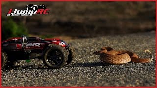 Traxxas E-Revo Rattlesnake Encounter