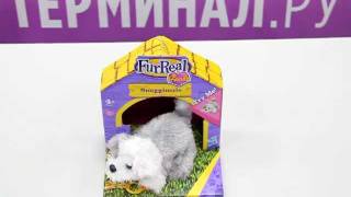 Ласковые зверята FurReal Friends