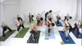ヨガ ACOYOGA ヨガDVD vol.3 レッスンライブ篇