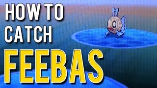 How to Catch Feebas - Pokemon Black 2 and White 2