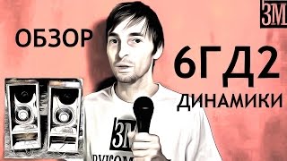 Динамики 6ГД2, Обзор от Звукомания