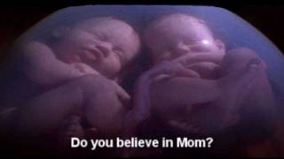 Twins Conversation in the Womb (funny)