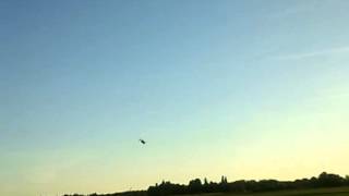 T-REX 600 ESP  Feierabendflug Sommer 2011