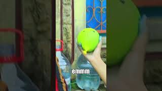 BALON EMOJI SIAP PECAH! #shorts #shortvideo #shortyoutube #ballons #balonair #ballondor #drama #fyp