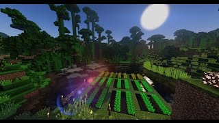 Using the BSL Standard Shaders on Minecraft | Settings