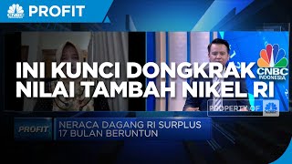 Perbaikan Iklim Investasi, Kunci Dongkrak Nilai Tambah Nikel RI